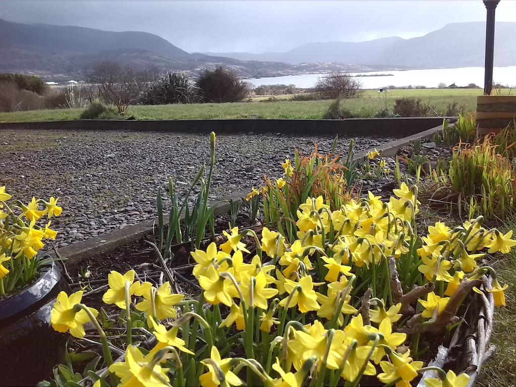 Currane Lodge Waterville Exteriér fotografie
